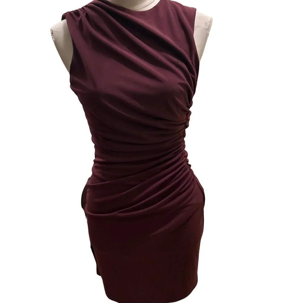 Zara Women's Sleeveless Ruched Bodice Dress Minimalism Deep Plum Size Small - Picture 1 of 6